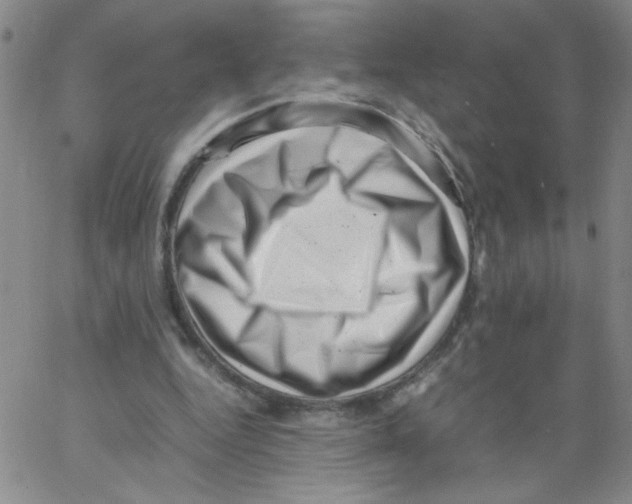 X0000066100344200604071828