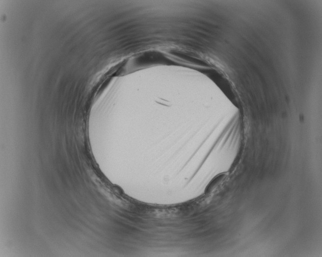 X0000066100345200604071828