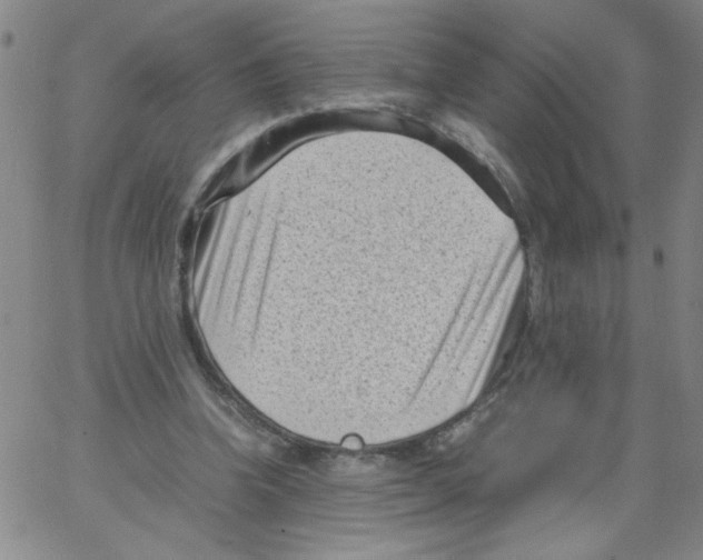 X0000066100346200604071828