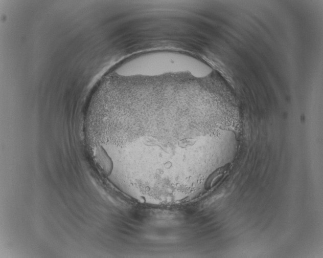 X0000066100347200604071828