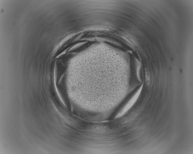 X0000066100348200604071828