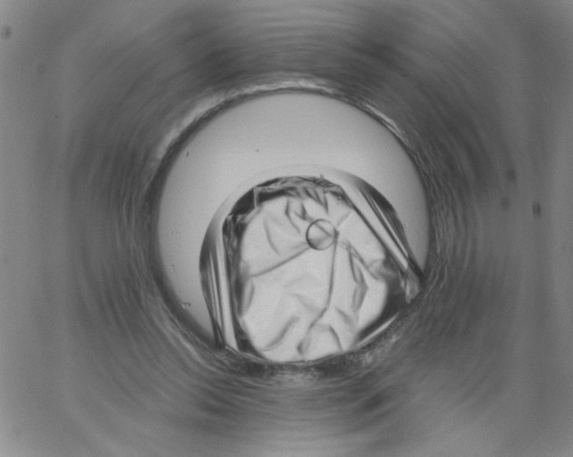 X0000066100350200604071828