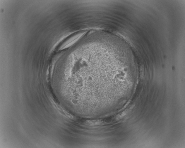 X0000066100351200604071828