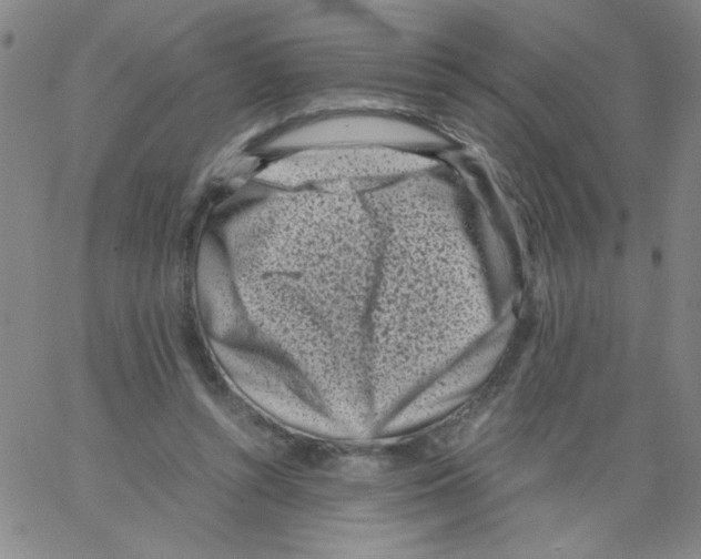 X0000066100352200604071828