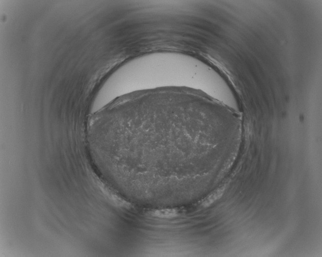 X0000066100353200604071828