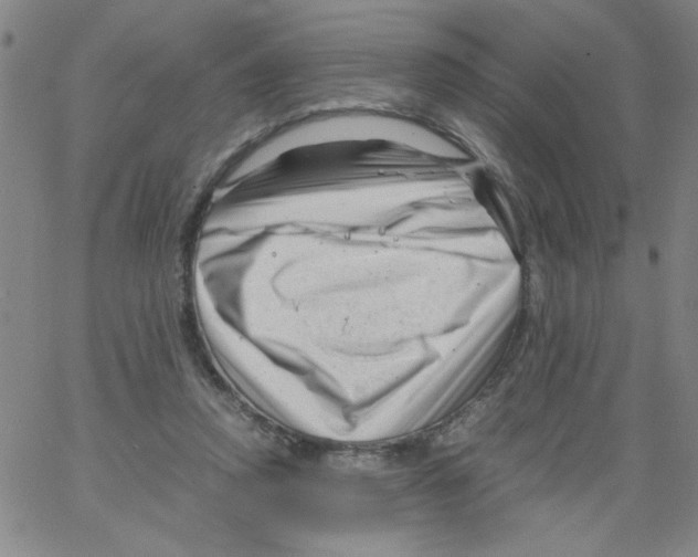 X0000066100354200604071828