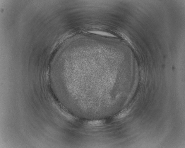 X0000066100357200604071828