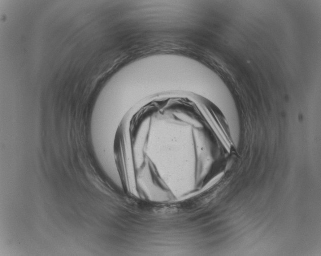 X0000066100362200604071828