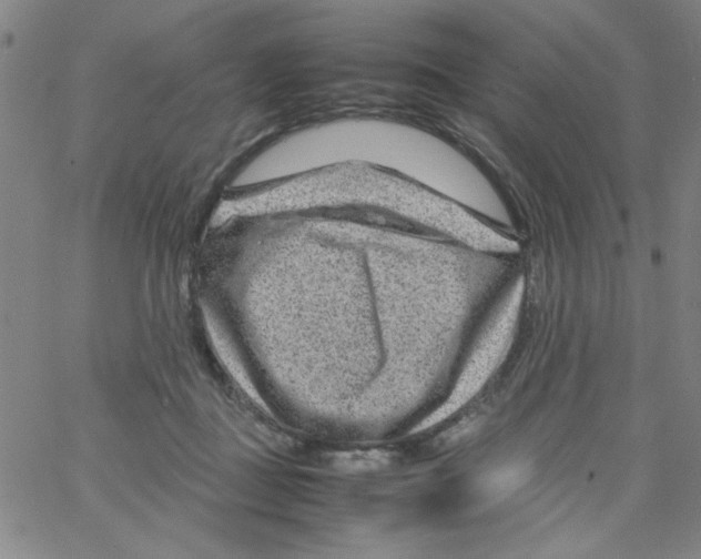 X0000066100363200604071828