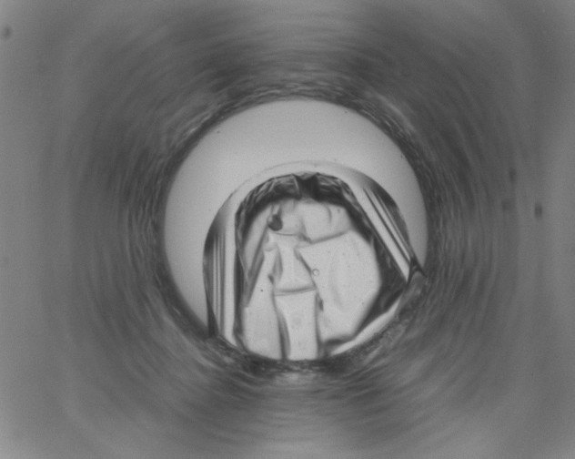 X0000066100364200604071828