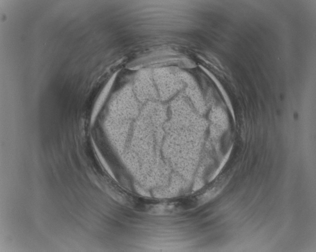 X0000066100366200604071828