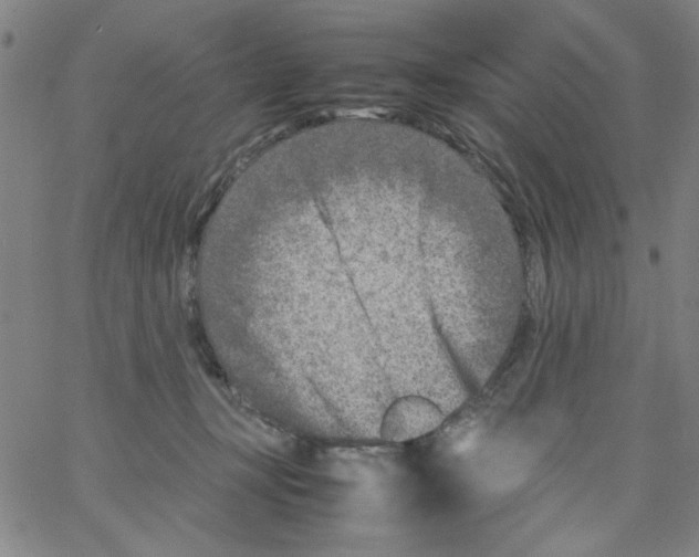 X0000066100367200604071828