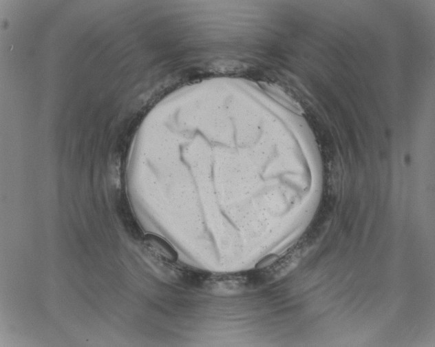 X0000066100368200604071828