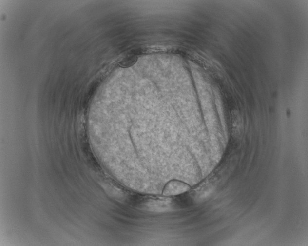 X0000066100369200604071828