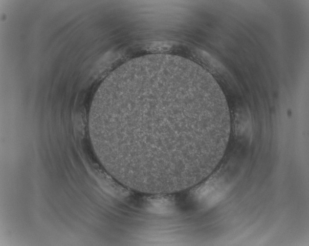 X0000066100370200604071828