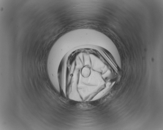 X0000066100372200604071828