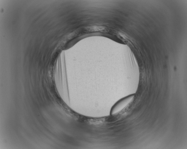 X0000066100373200604071828