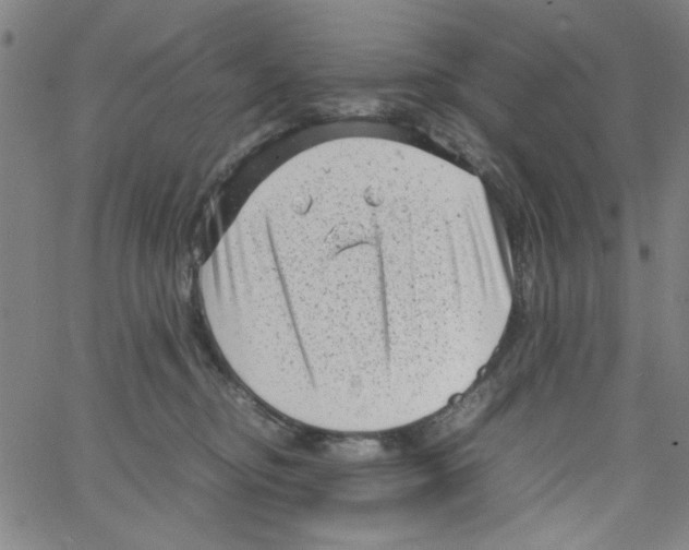 X0000066100374200604071828