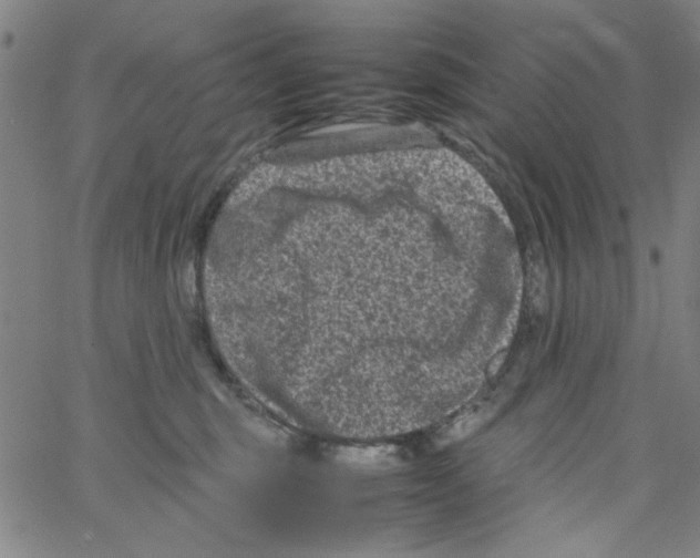 X0000066100375200604071828