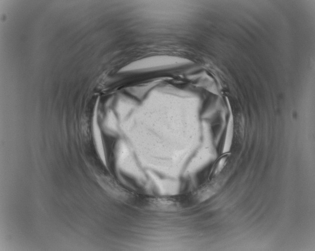 X0000066100380200604071828