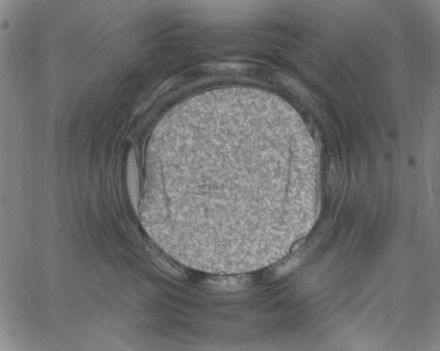 X0000066100381200604071828