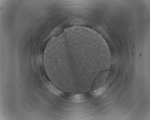 X0000066100382200604071828