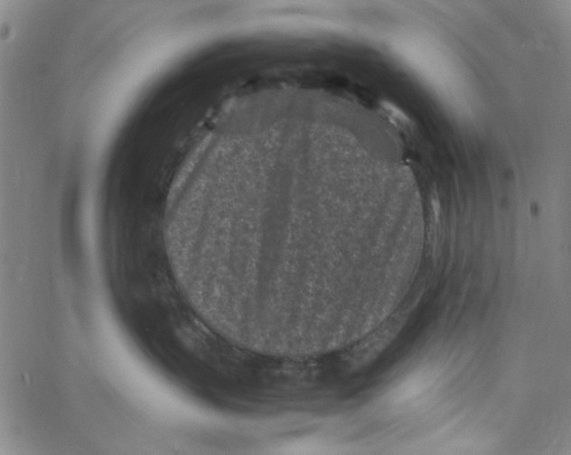 X0000066100383200604071828