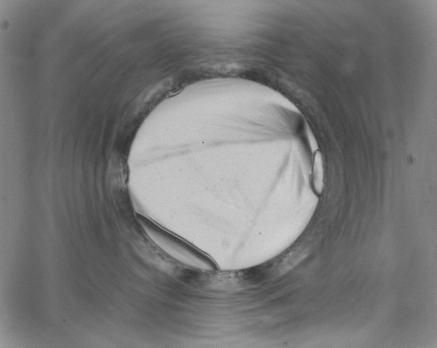 X0000066100384200604071828