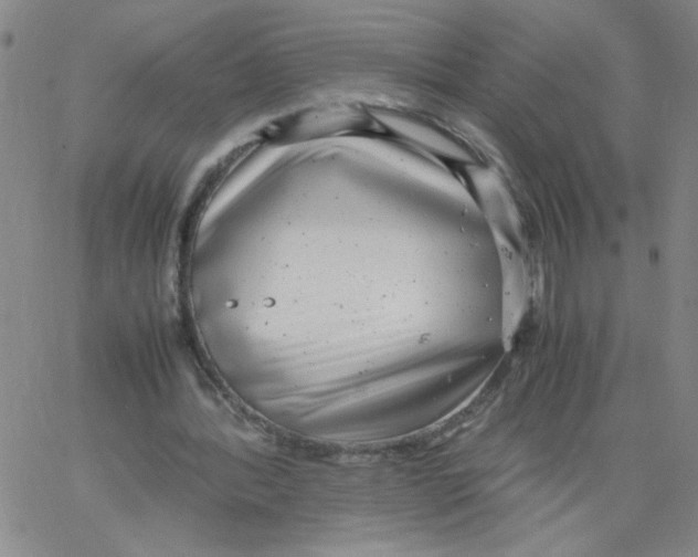 X0000066100388200604071827