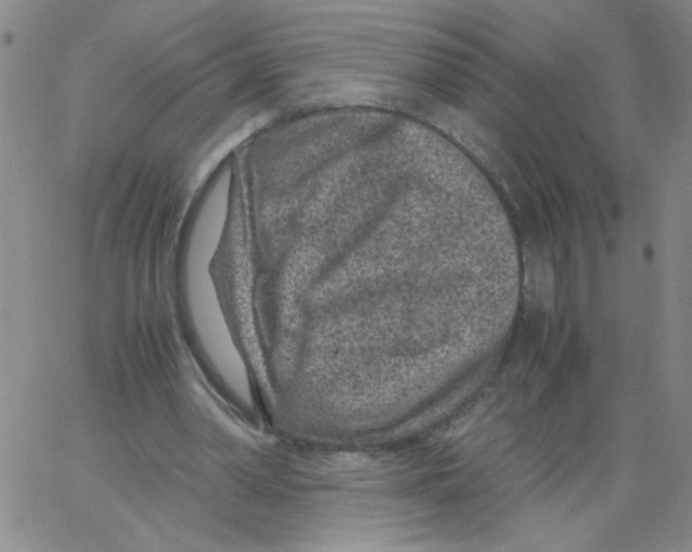 X0000066100390200604071827