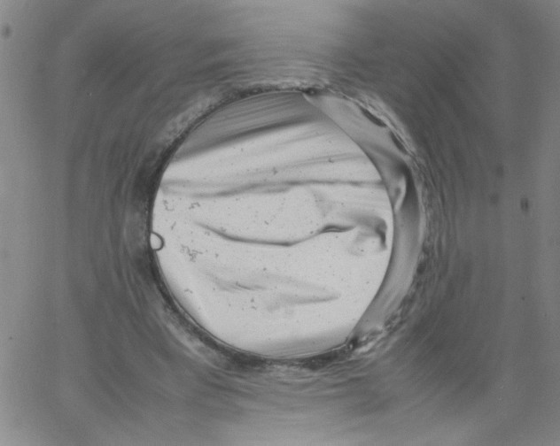 X0000066100393200604071827