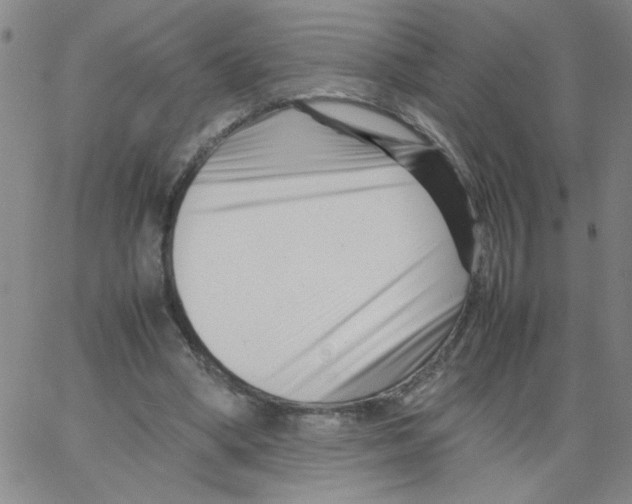 X0000066100394200604071827