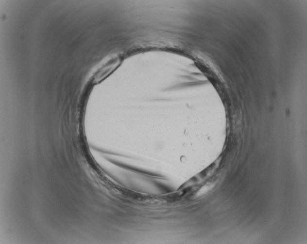 X0000066100395200604071827