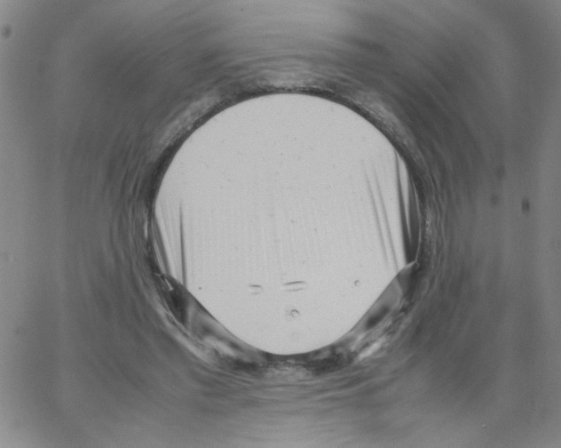 X0000066100397200604071827