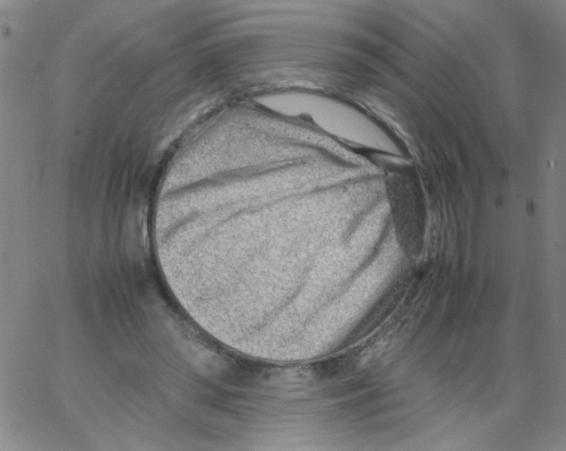 X0000066100398200604071827