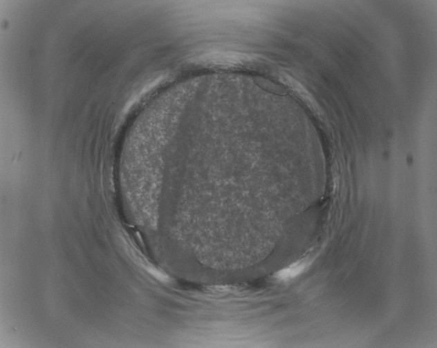 X0000066100399200604071827