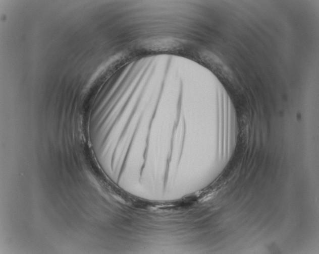 X0000066100400200604071827