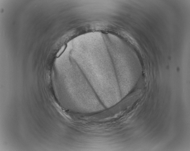 X0000066100401200604071827