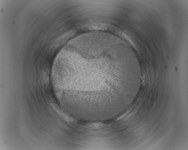 X0000066100402200604071827