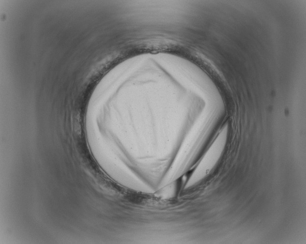 X0000066100403200604071827