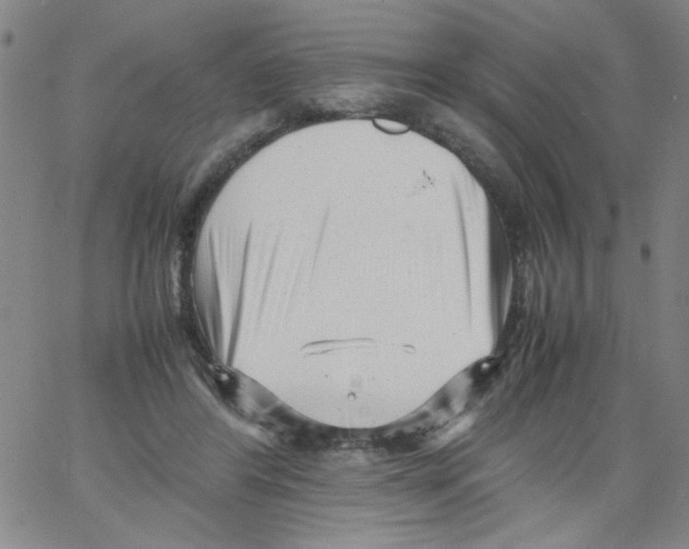 X0000066100404200604071827