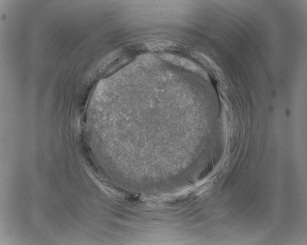 X0000066100405200604071827