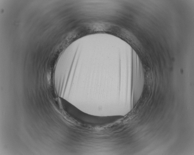 X0000066100406200604071827