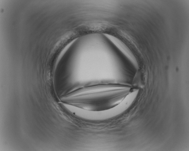 X0000066100407200604071827