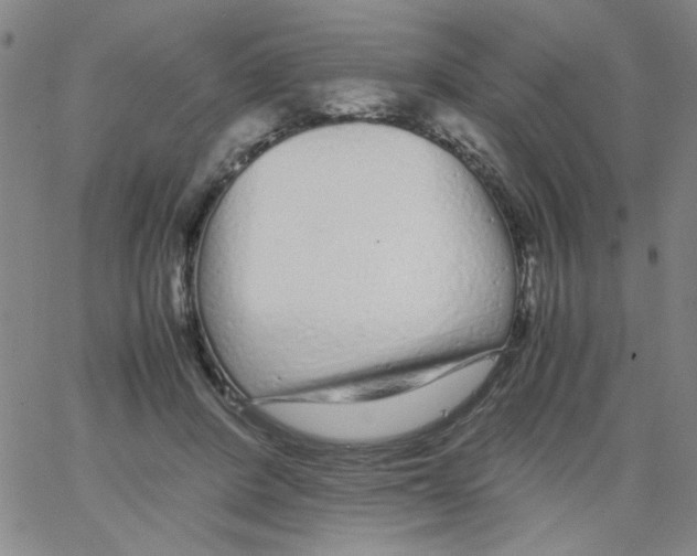 X0000066100408200604071827