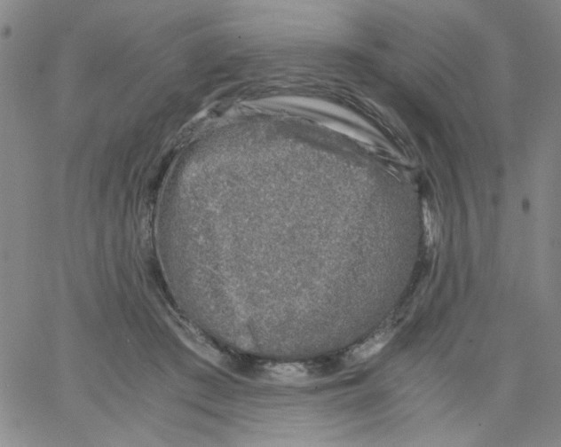 X0000066100409200604071827