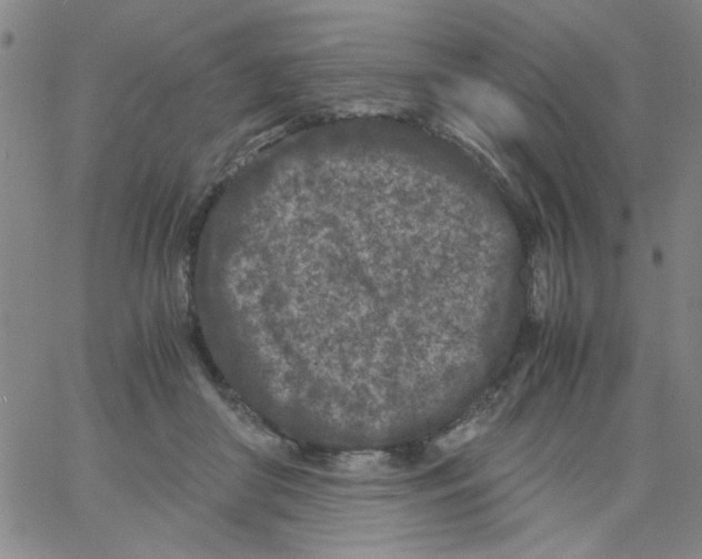 X0000066100410200604071827