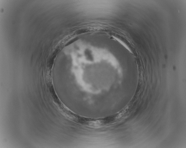 X0000066100411200604071827