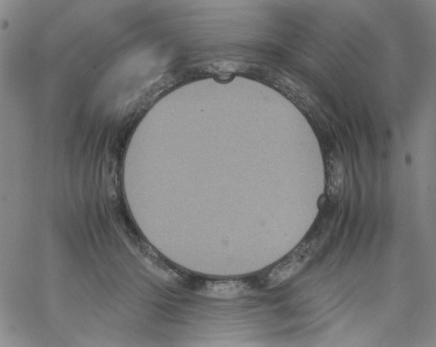 X0000066100414200604071827