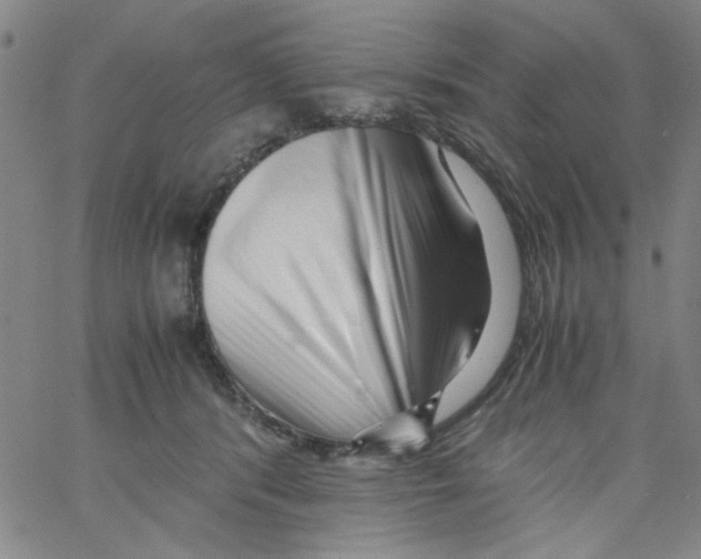 X0000066100416200604071827